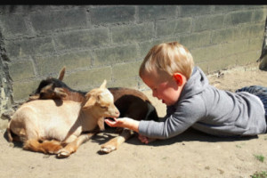 Voortbestaan Kinderboerderij De Schouw gegarandeerd