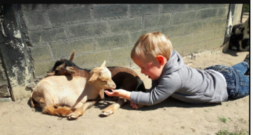 Voortbestaan Kinderboerderij De Schouw gegarandeerd