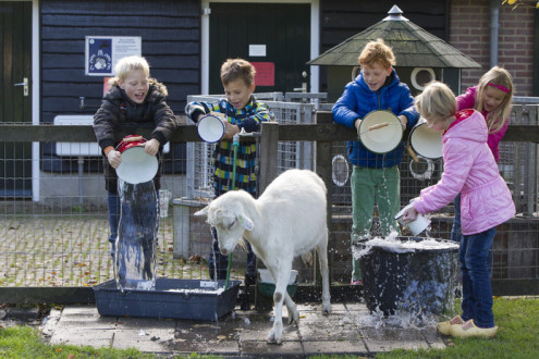 PvdA Zutphen-Warnsveld dient motie voor behoud kinderboerderij in